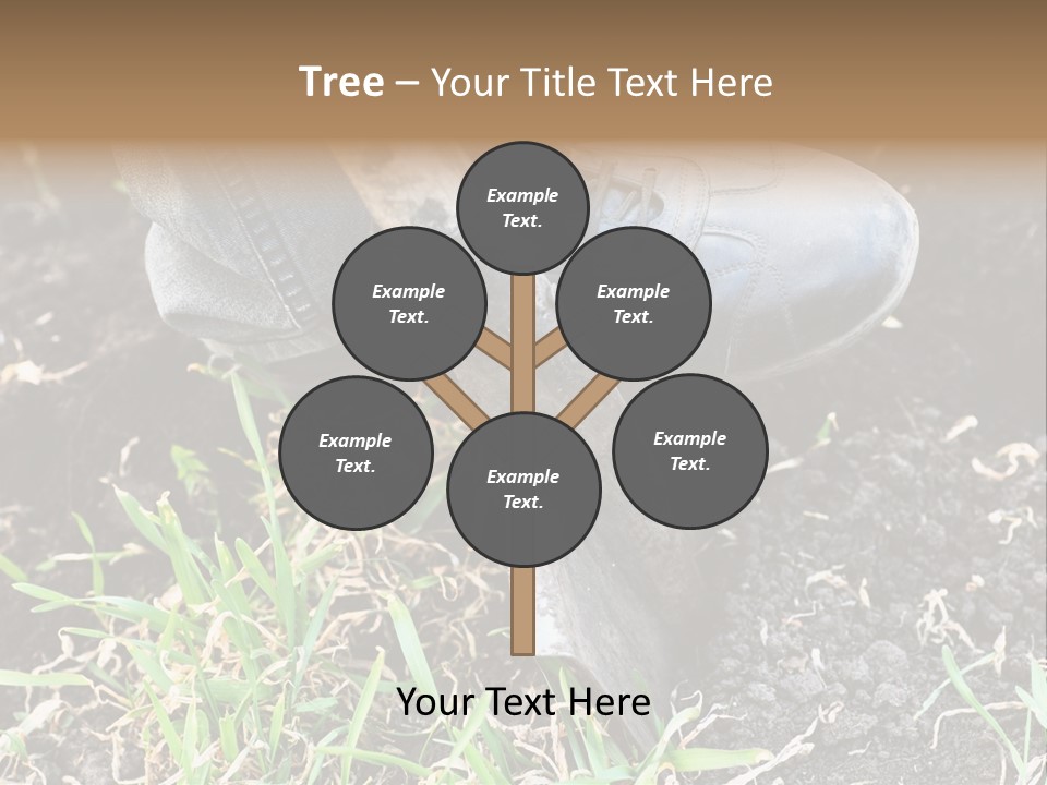 Human Head Shape With Butterflies Flying Out Of The Head PowerPoint Template