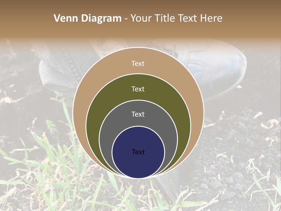 Human Head Shape With Butterflies Flying Out Of The Head PowerPoint Template