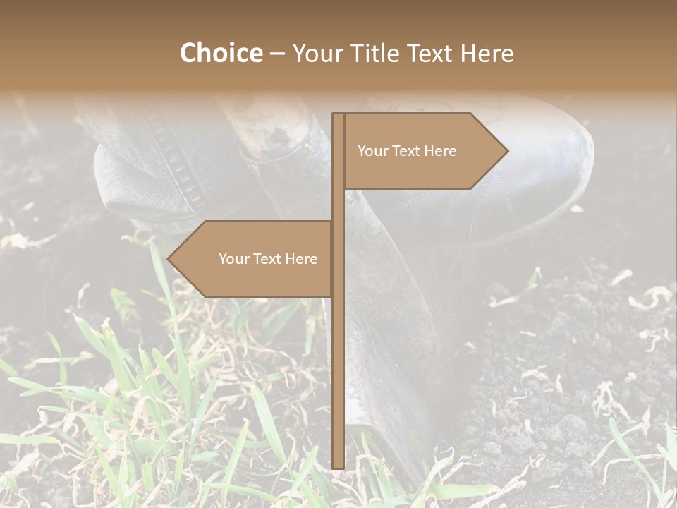 Human Head Shape With Butterflies Flying Out Of The Head PowerPoint Template