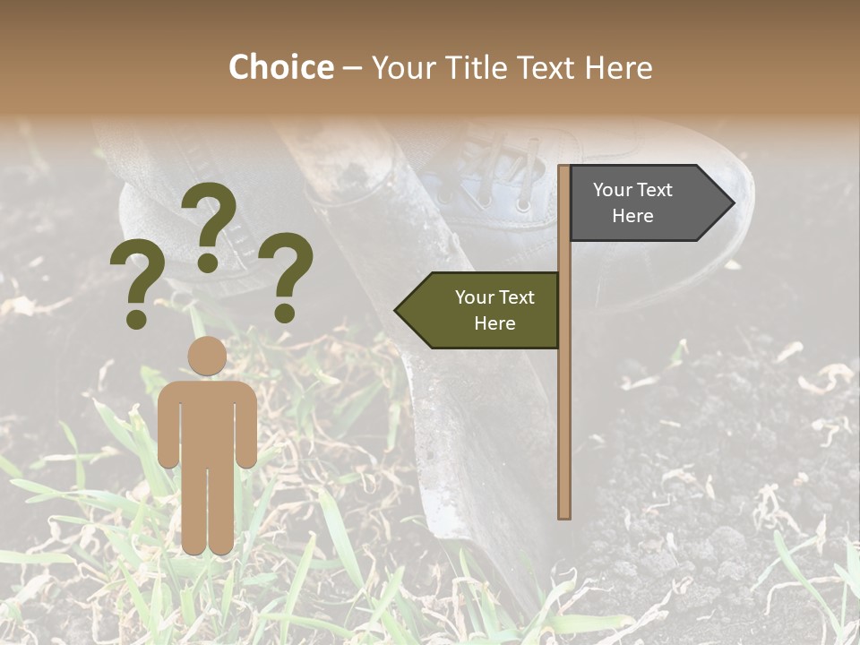 Human Head Shape With Butterflies Flying Out Of The Head PowerPoint Template