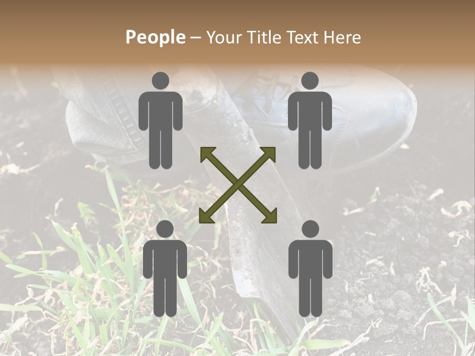 Human Head Shape With Butterflies Flying Out Of The Head PowerPoint Template