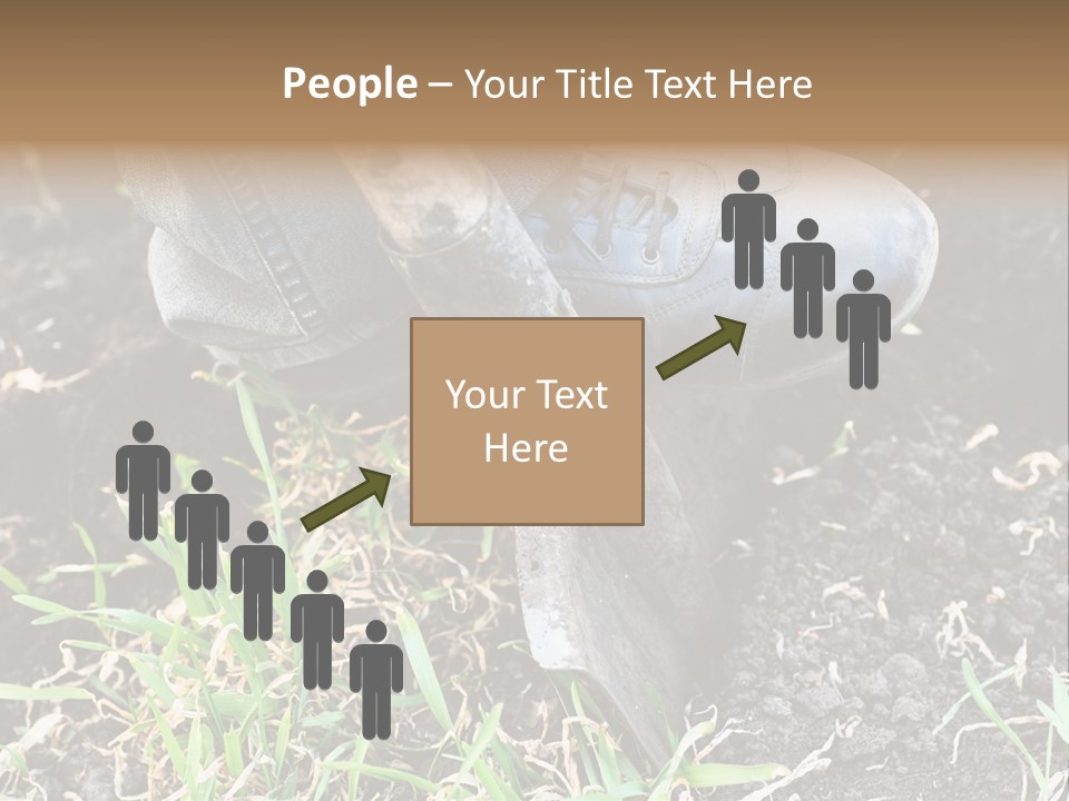 Human Head Shape With Butterflies Flying Out Of The Head PowerPoint Template