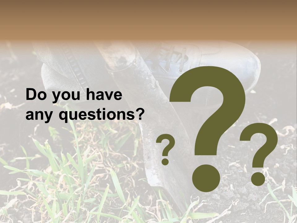 Human Head Shape With Butterflies Flying Out Of The Head PowerPoint Template