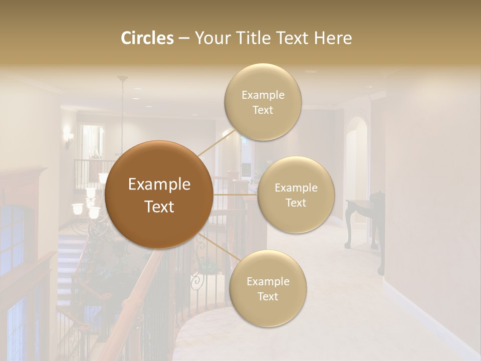 White Cat PowerPoint Template