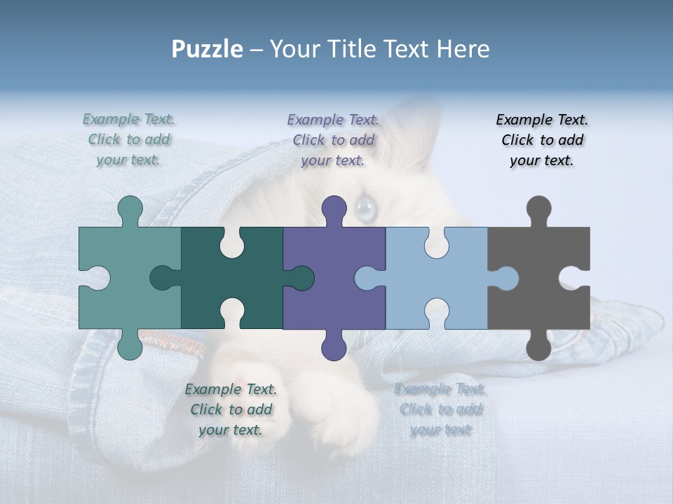 Pretty Ragdoll Kitten Lying Inside Leg Of Jeans Denim Pants On Blue Background PowerPoint Template