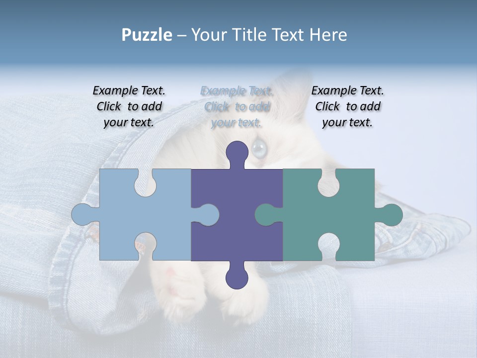 Pretty Ragdoll Kitten Lying Inside Leg Of Jeans Denim Pants On Blue Background PowerPoint Template