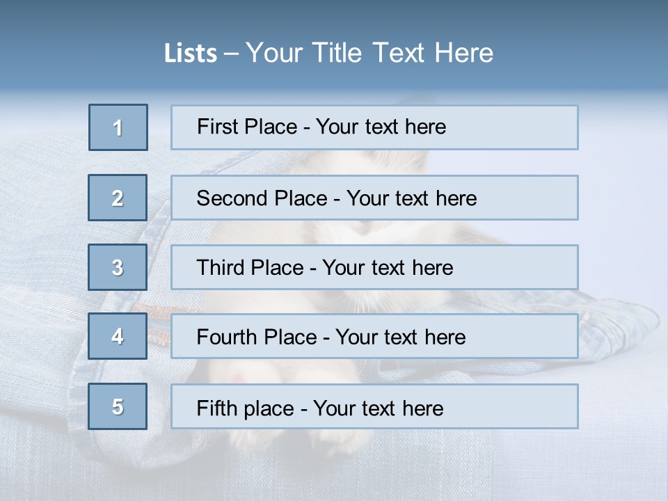 Pretty Ragdoll Kitten Lying Inside Leg Of Jeans Denim Pants On Blue Background PowerPoint Template