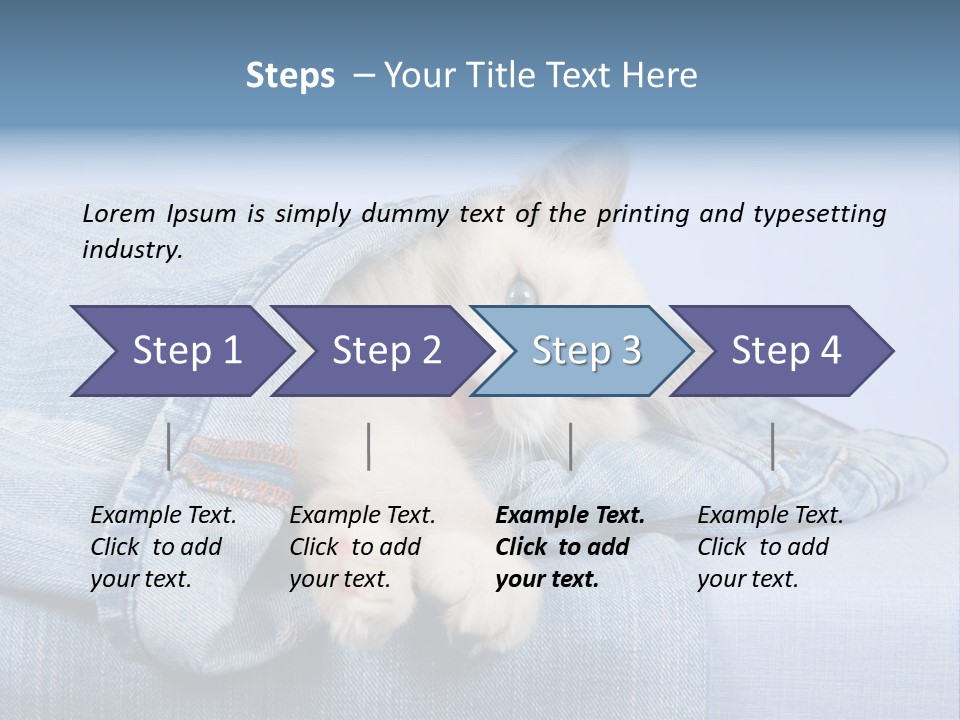 Pretty Ragdoll Kitten Lying Inside Leg Of Jeans Denim Pants On Blue Background PowerPoint Template