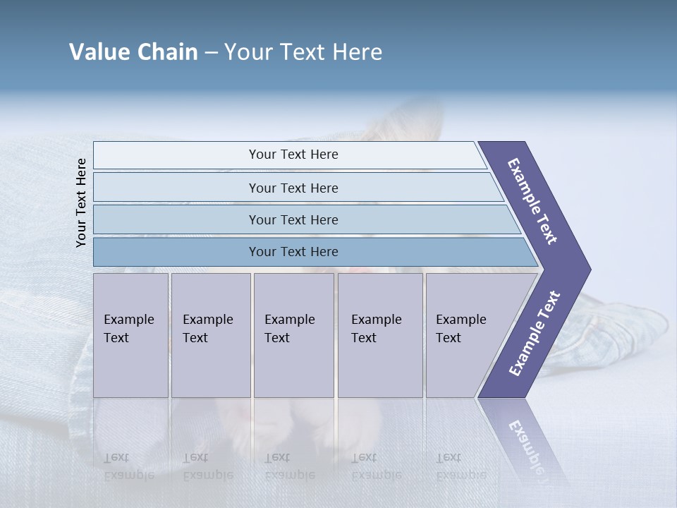 Pretty Ragdoll Kitten Lying Inside Leg Of Jeans Denim Pants On Blue Background PowerPoint Template