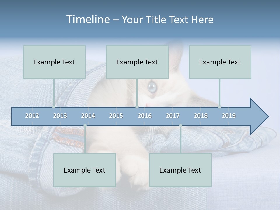 Pretty Ragdoll Kitten Lying Inside Leg Of Jeans Denim Pants On Blue Background PowerPoint Template