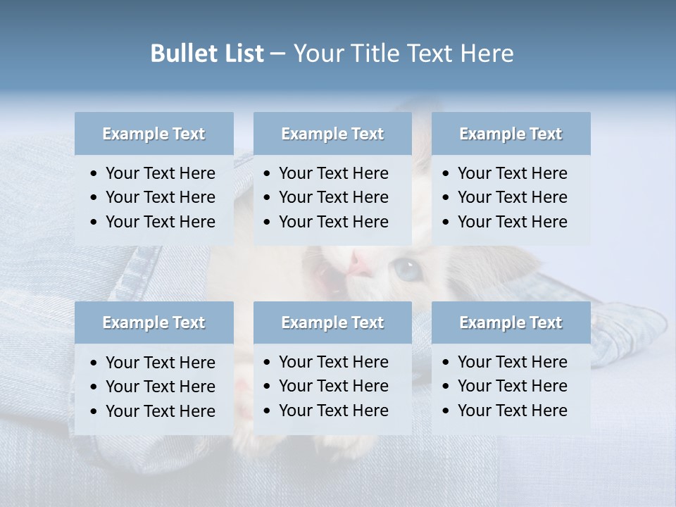 Pretty Ragdoll Kitten Lying Inside Leg Of Jeans Denim Pants On Blue Background PowerPoint Template