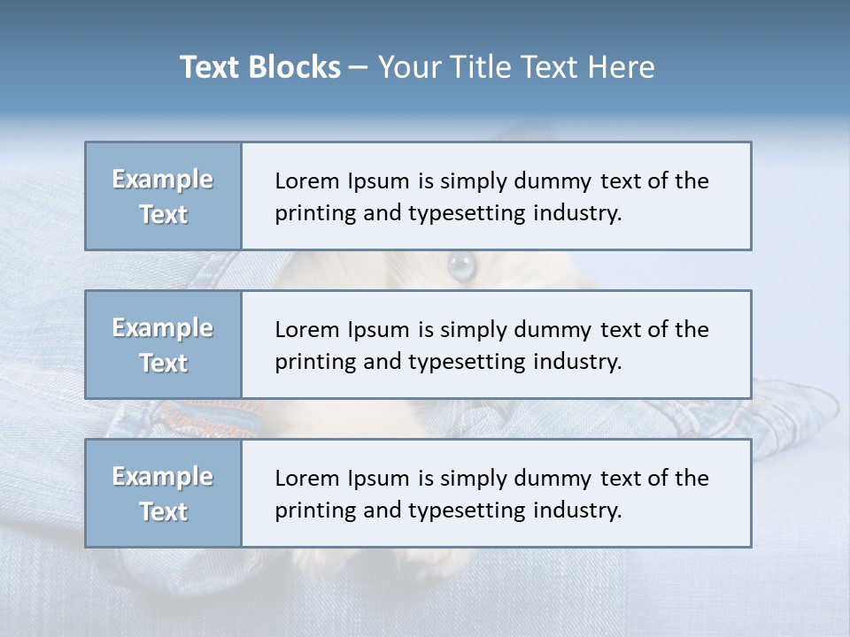 Pretty Ragdoll Kitten Lying Inside Leg Of Jeans Denim Pants On Blue Background PowerPoint Template