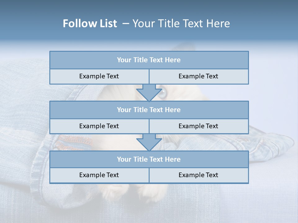 Pretty Ragdoll Kitten Lying Inside Leg Of Jeans Denim Pants On Blue Background PowerPoint Template