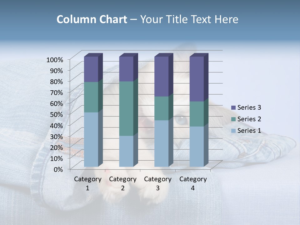 Pretty Ragdoll Kitten Lying Inside Leg Of Jeans Denim Pants On Blue Background PowerPoint Template