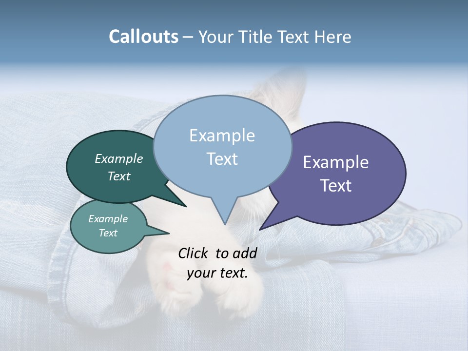 Pretty Ragdoll Kitten Lying Inside Leg Of Jeans Denim Pants On Blue Background PowerPoint Template