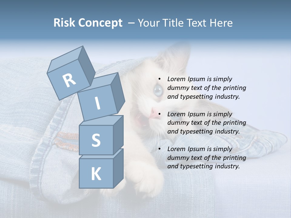 Pretty Ragdoll Kitten Lying Inside Leg Of Jeans Denim Pants On Blue Background PowerPoint Template