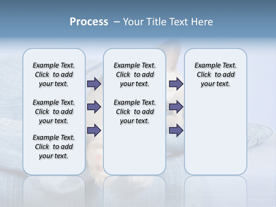 Pretty Ragdoll Kitten Lying Inside Leg Of Jeans Denim Pants On Blue Background PowerPoint Template