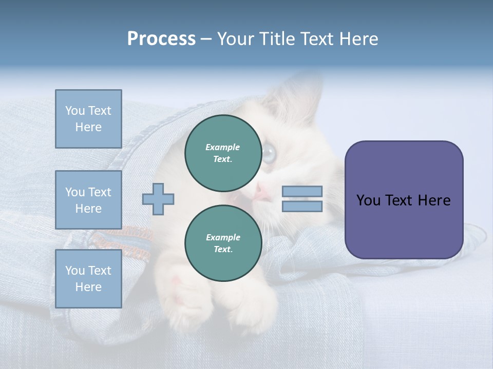 Pretty Ragdoll Kitten Lying Inside Leg Of Jeans Denim Pants On Blue Background PowerPoint Template