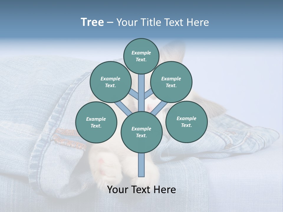 Pretty Ragdoll Kitten Lying Inside Leg Of Jeans Denim Pants On Blue Background PowerPoint Template