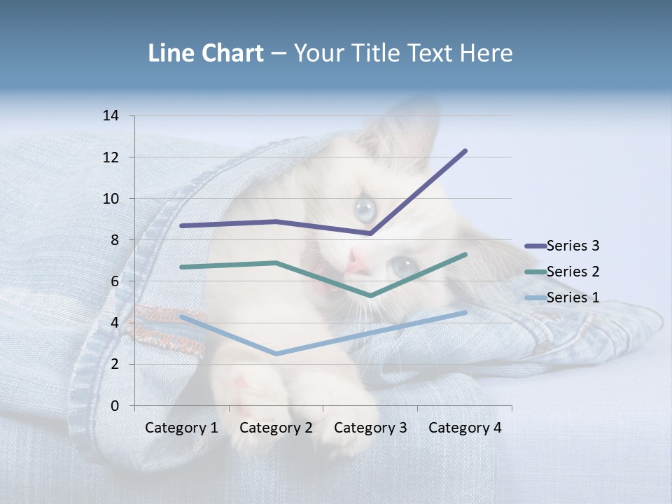 Pretty Ragdoll Kitten Lying Inside Leg Of Jeans Denim Pants On Blue Background PowerPoint Template