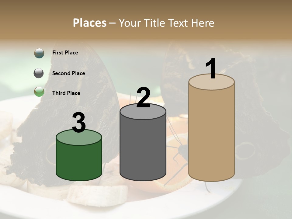 Owl Butterflies At Lunch (Butterfly House In Wien) PowerPoint Template