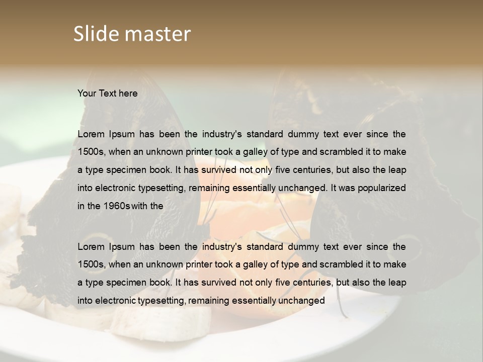 Owl Butterflies At Lunch (Butterfly House In Wien) PowerPoint Template