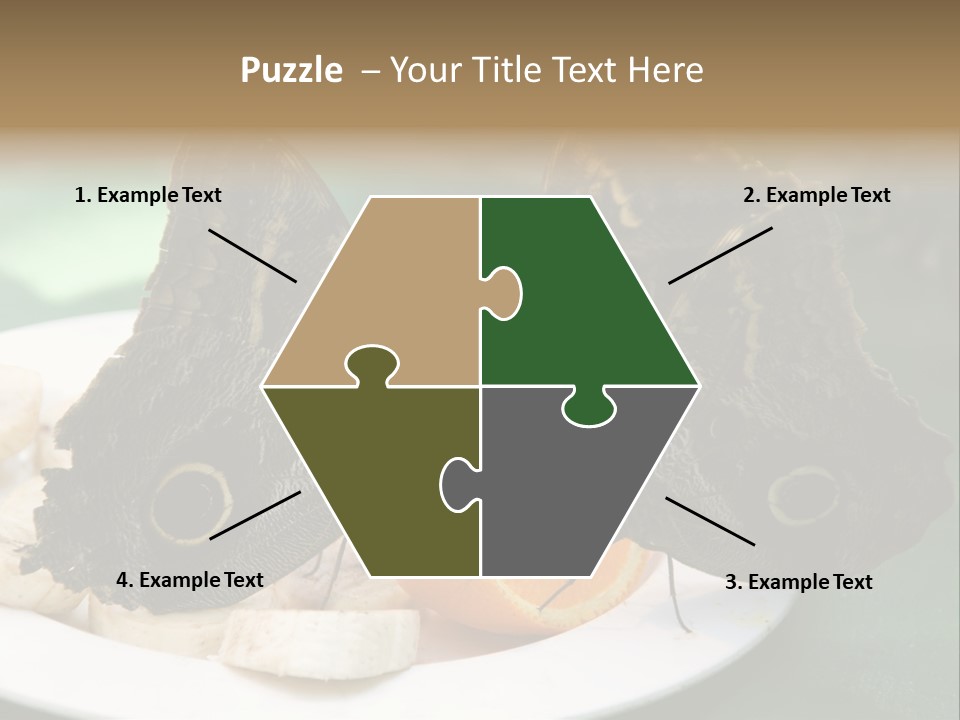 Owl Butterflies At Lunch (Butterfly House In Wien) PowerPoint Template