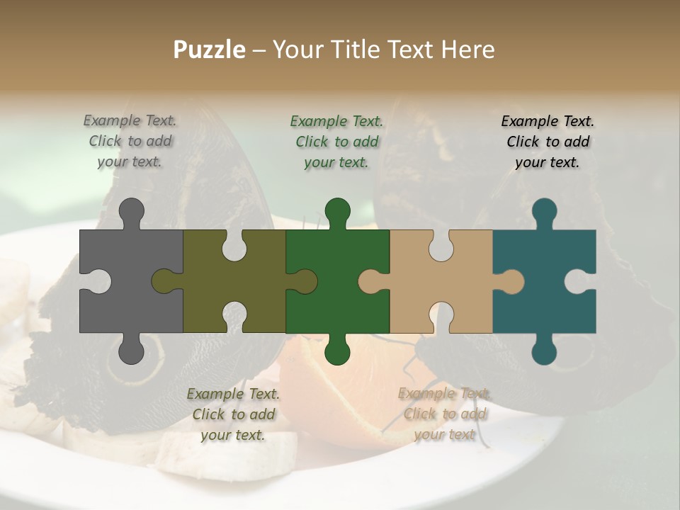 Owl Butterflies At Lunch (Butterfly House In Wien) PowerPoint Template