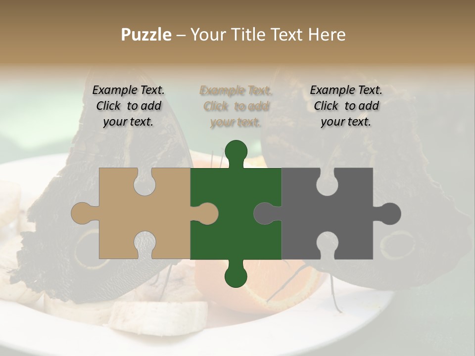 Owl Butterflies At Lunch (Butterfly House In Wien) PowerPoint Template