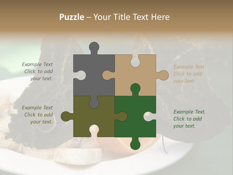 Owl Butterflies At Lunch (Butterfly House In Wien) PowerPoint Template