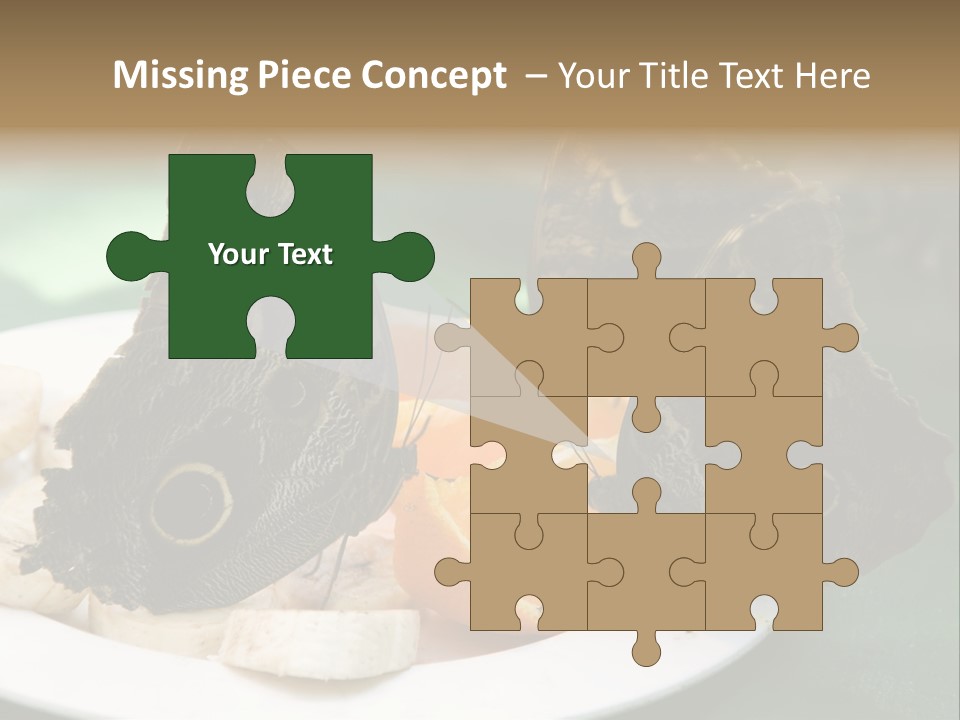 Owl Butterflies At Lunch (Butterfly House In Wien) PowerPoint Template