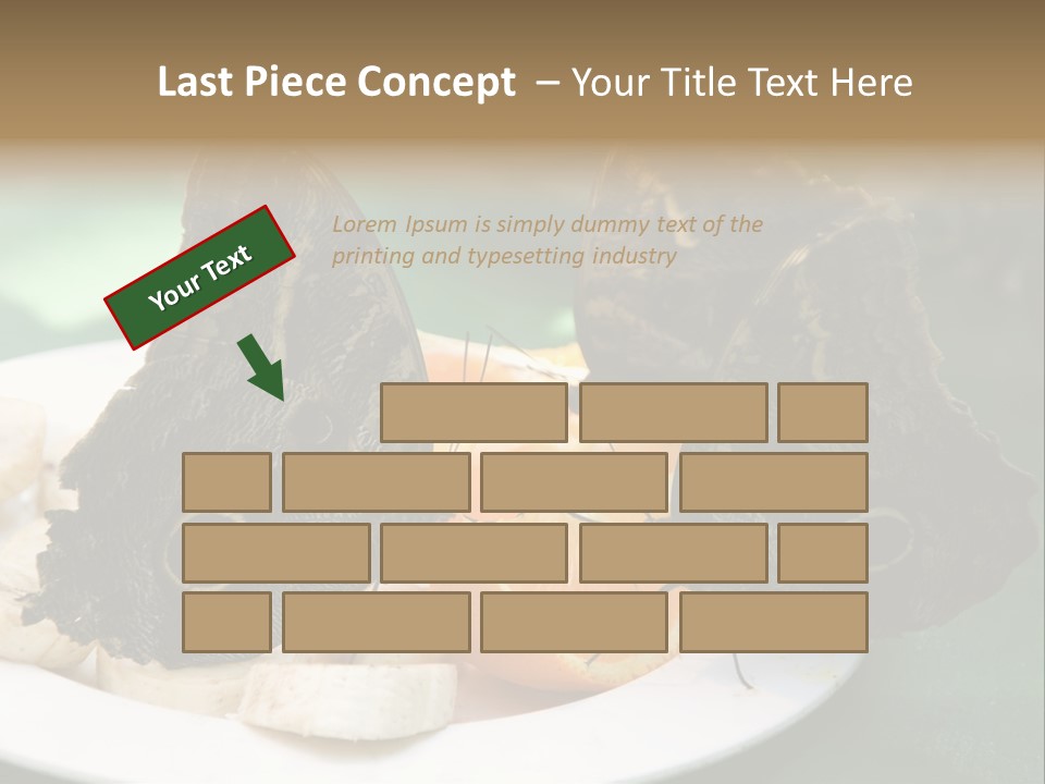 Owl Butterflies At Lunch (Butterfly House In Wien) PowerPoint Template