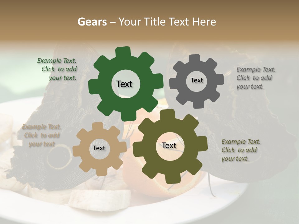 Owl Butterflies At Lunch (Butterfly House In Wien) PowerPoint Template