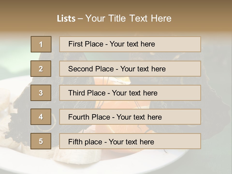 Owl Butterflies At Lunch (Butterfly House In Wien) PowerPoint Template