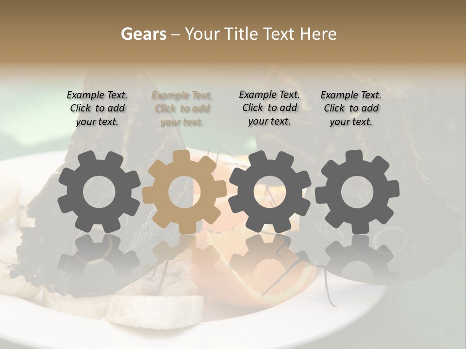 Owl Butterflies At Lunch (Butterfly House In Wien) PowerPoint Template