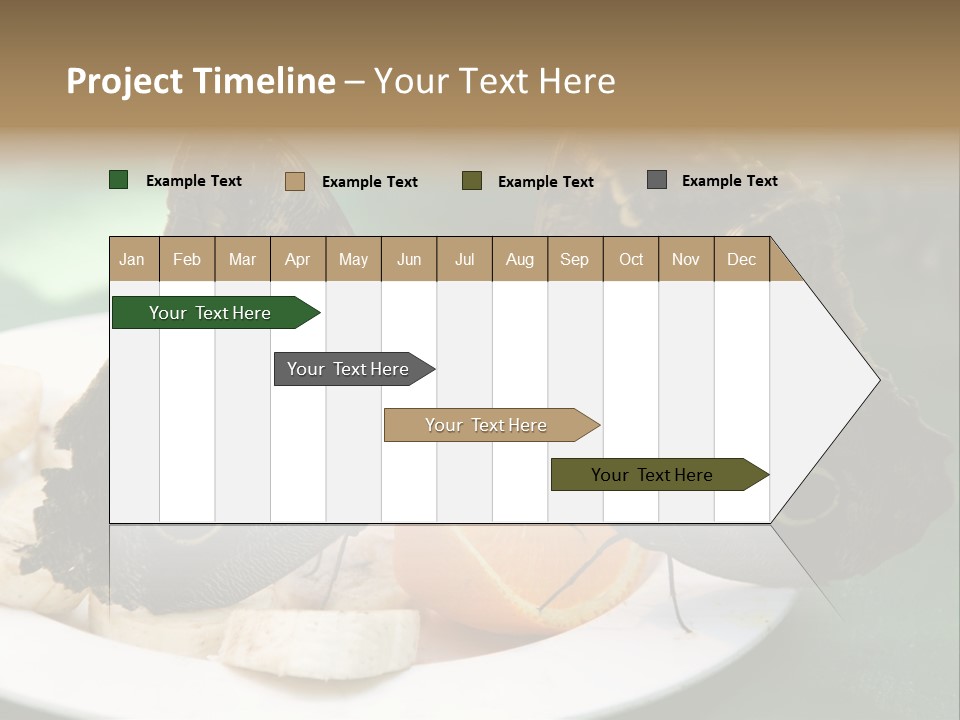 Owl Butterflies At Lunch (Butterfly House In Wien) PowerPoint Template