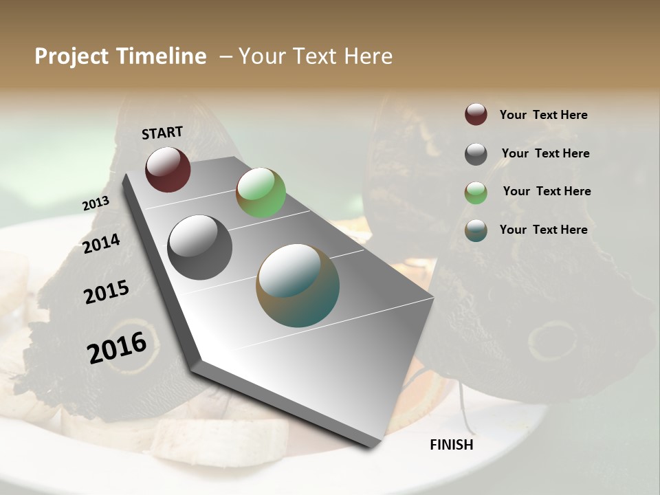 Owl Butterflies At Lunch (Butterfly House In Wien) PowerPoint Template