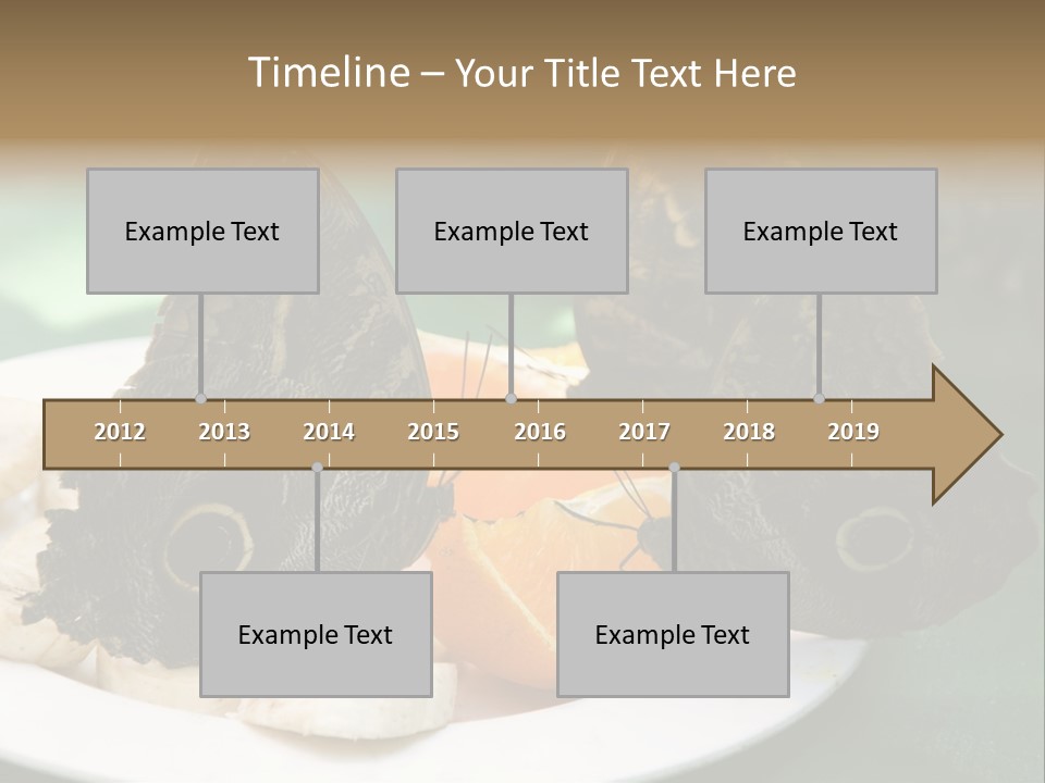 Owl Butterflies At Lunch (Butterfly House In Wien) PowerPoint Template