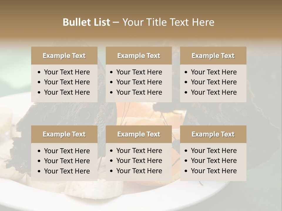Owl Butterflies At Lunch (Butterfly House In Wien) PowerPoint Template