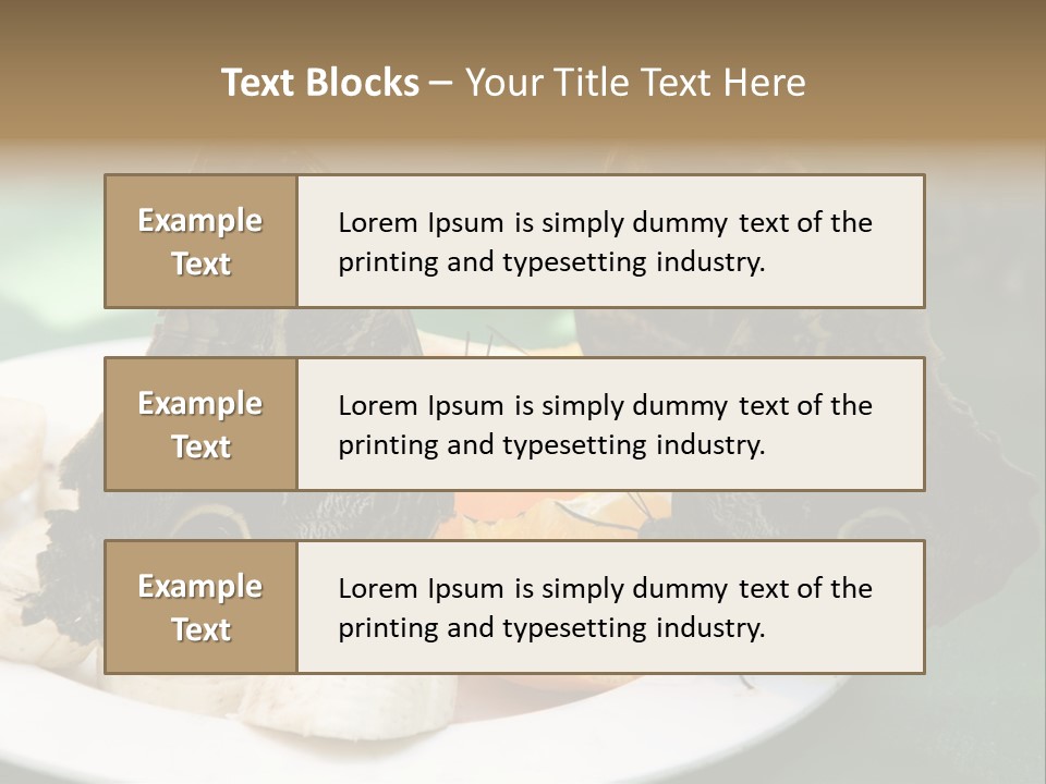 Owl Butterflies At Lunch (Butterfly House In Wien) PowerPoint Template