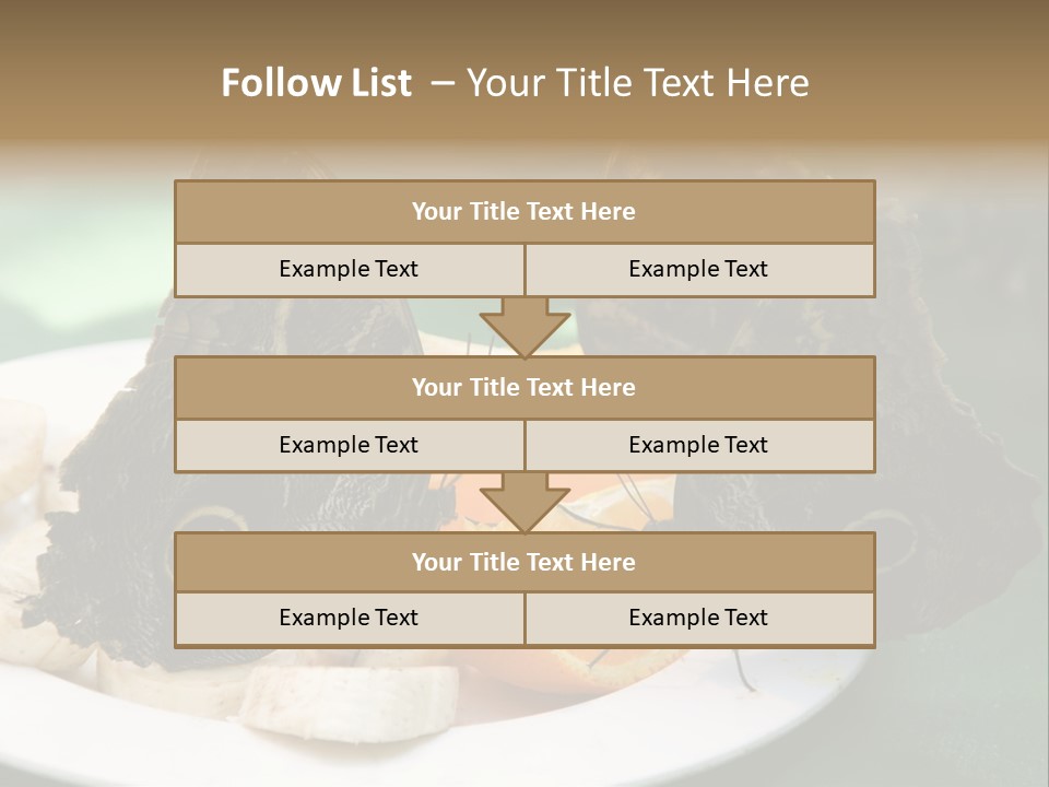 Owl Butterflies At Lunch (Butterfly House In Wien) PowerPoint Template