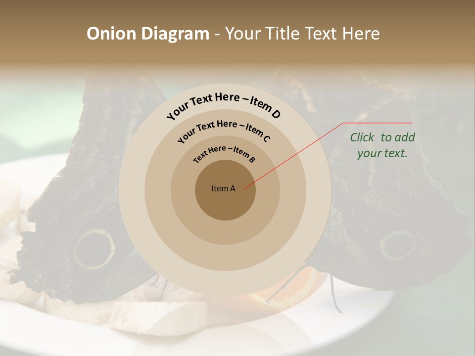 Owl Butterflies At Lunch (Butterfly House In Wien) PowerPoint Template