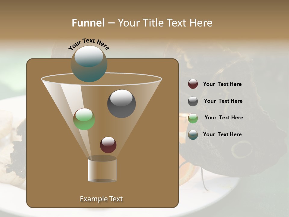 Owl Butterflies At Lunch (Butterfly House In Wien) PowerPoint Template