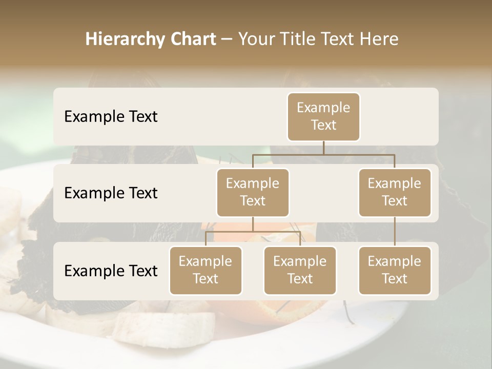 Owl Butterflies At Lunch (Butterfly House In Wien) PowerPoint Template
