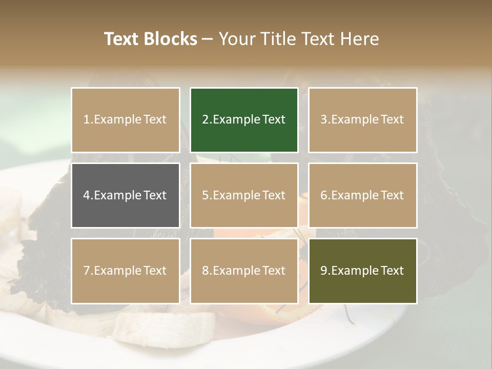 Owl Butterflies At Lunch (Butterfly House In Wien) PowerPoint Template