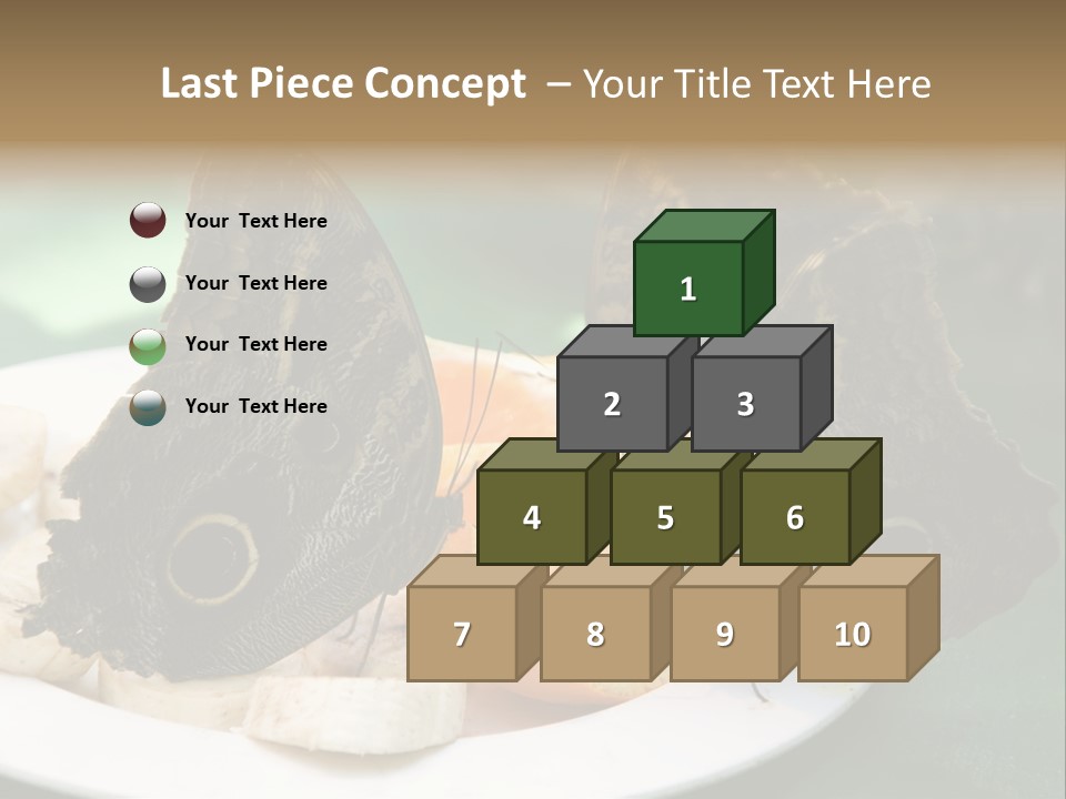 Owl Butterflies At Lunch (Butterfly House In Wien) PowerPoint Template