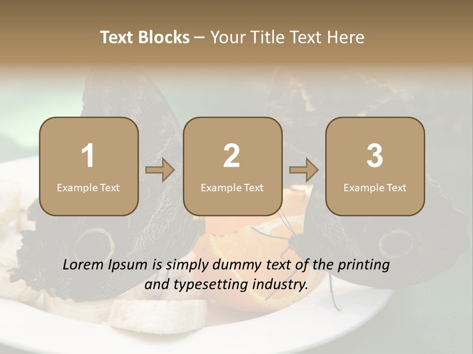 Owl Butterflies At Lunch (Butterfly House In Wien) PowerPoint Template