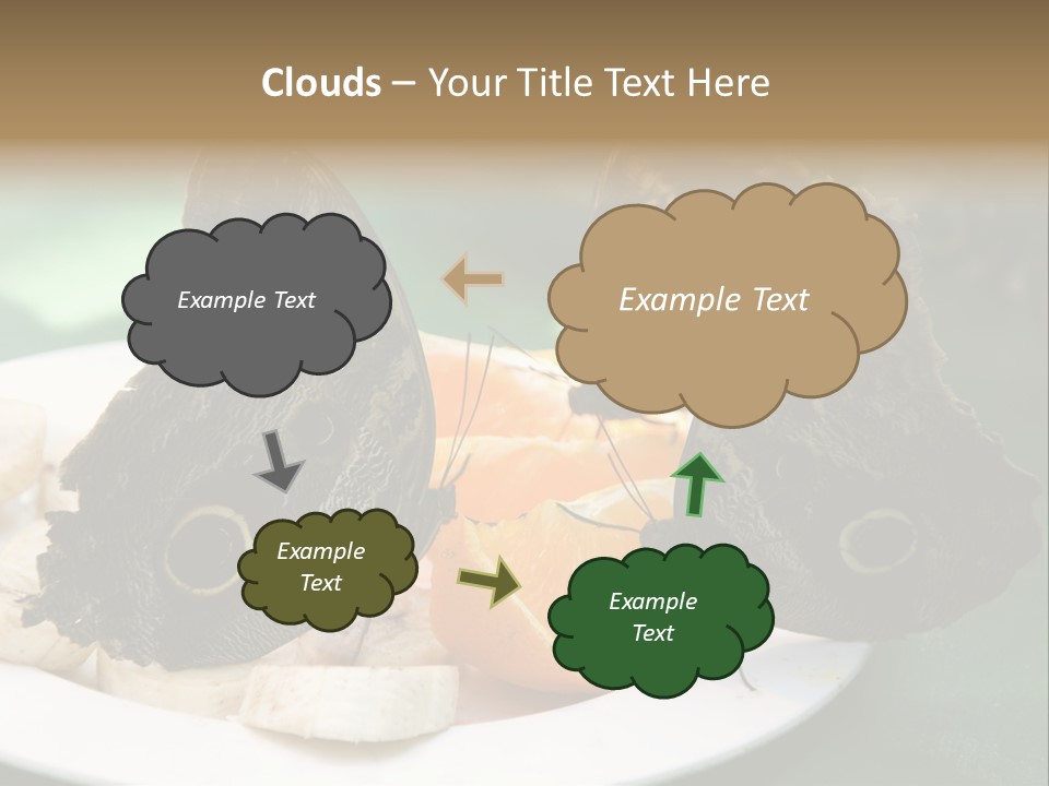Owl Butterflies At Lunch (Butterfly House In Wien) PowerPoint Template