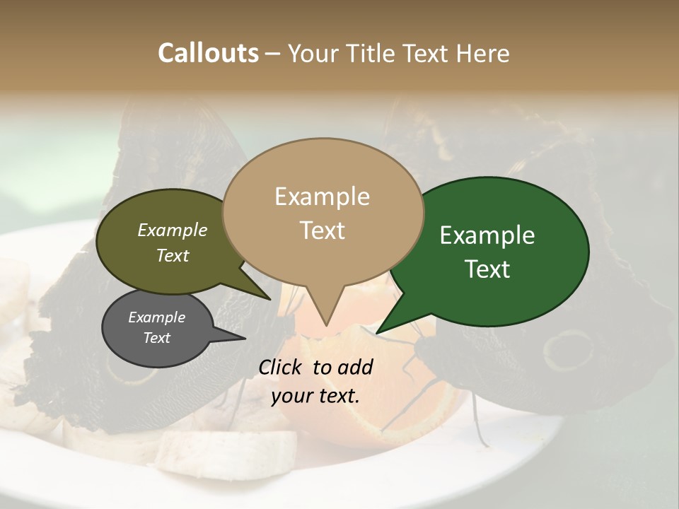 Owl Butterflies At Lunch (Butterfly House In Wien) PowerPoint Template