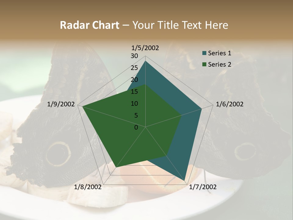 Owl Butterflies At Lunch (Butterfly House In Wien) PowerPoint Template